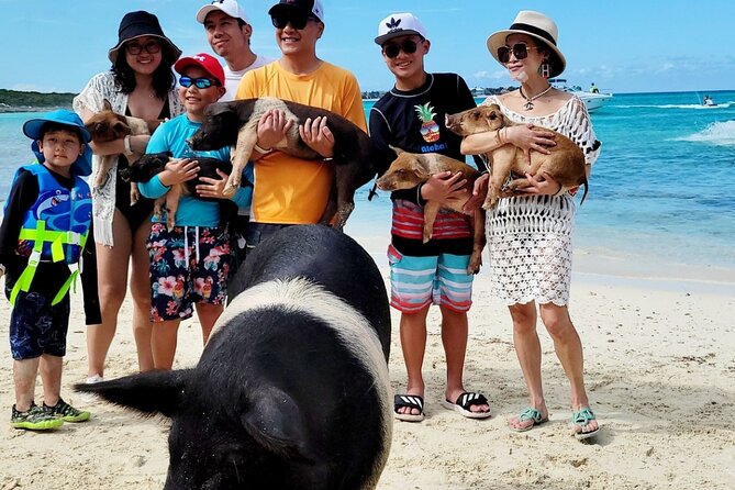 Exotic half day private charters to Rose Island, Pigs and Turtles - Who Will Enjoy This Nassau Charter Most