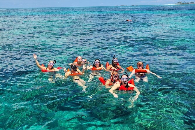 Exotic half day private charters to Rose Island, Pigs and Turtles - Rose Island Beach Time and Open-Water Views