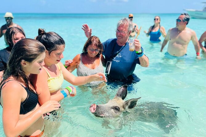 Exuma Day Away - Original Swimming Pigs Excursion - Five things to know before you book