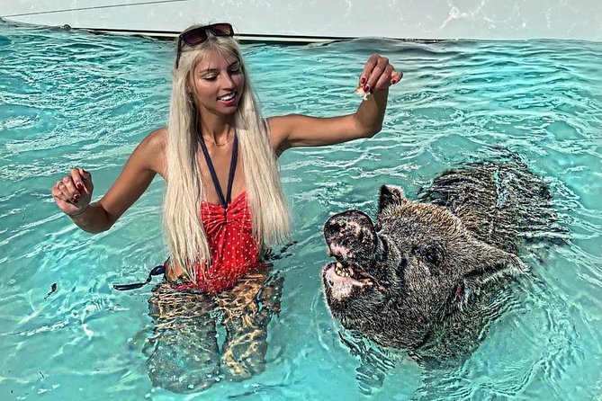 Exuma Day Away - Original Swimming Pigs Excursion - Why this Exuma day trip is such a big day