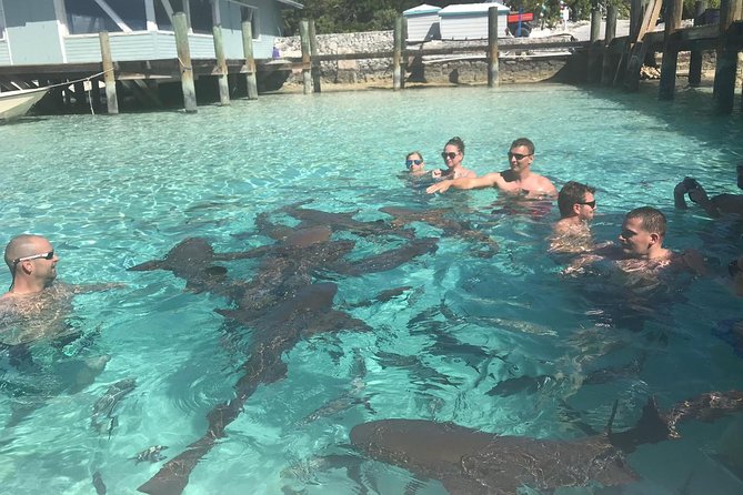 Exuma Day Away - Original Swimming Pigs Excursion - From Montagu Beach to the outer cays