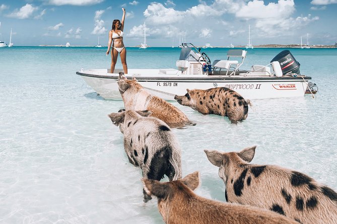 Exuma Elite Escape: Luxury Fly-In Pig Beach Adventure - 7 Stops - Key things to know before you book