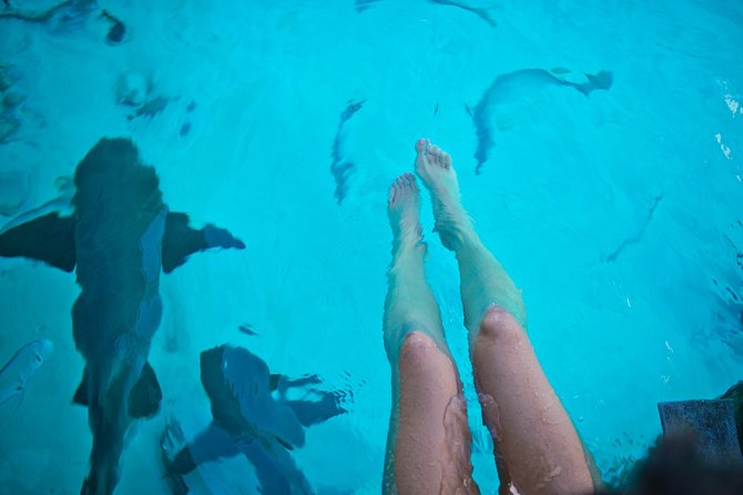 Exuma Elite Escape: Luxury Fly-In Pig Beach Adventure - 7 Stops - Staniel Cay lunch and the day’s one common snag