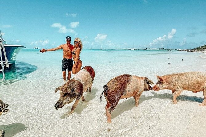 Exuma Full Day Swimming Pigs Group Boat Tour - What Makes This Exuma Day Trip Special