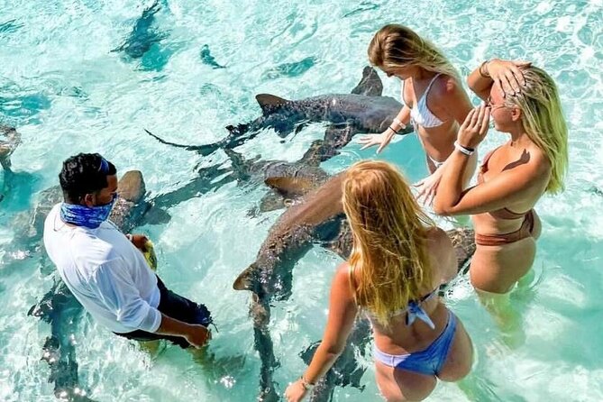 Exuma Full Day Swimming Pigs Group Boat Tour - Allen Cay and Its Rock Iguanas
