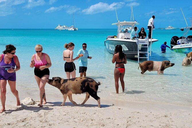 Exuma Full Day Swimming Pigs Group Boat Tour - The Exuma Sandbar Finish