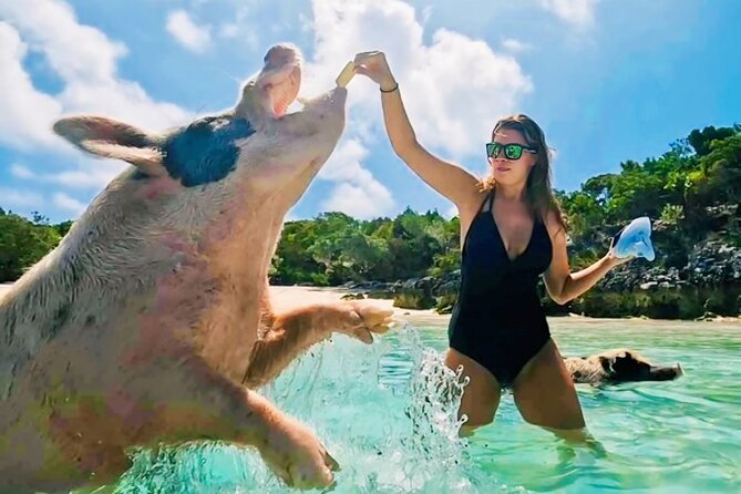 Exuma Island and Cays Tour - Why this Great Exuma boat tour is worth considering