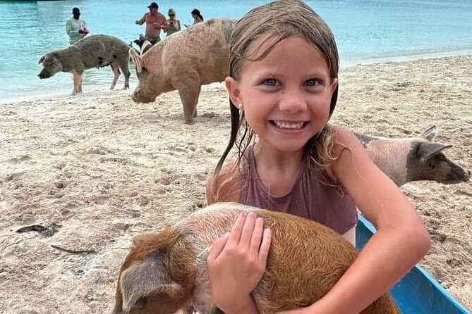 Exuma Island and Cays Tour - Big Major Cay and the famous swimming pigs