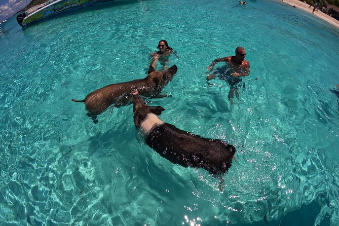 Exuma Island Hopping Swimming Pigs Tour with Lunch from Nassau - A final beach or sandbar in Exuma