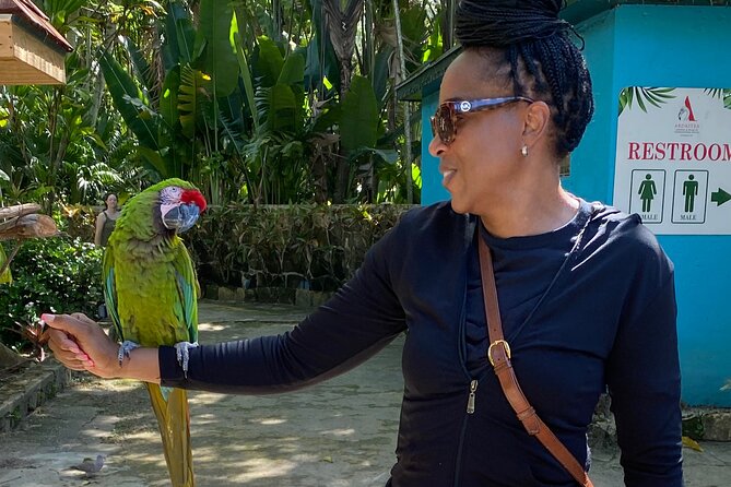 Flamingo March & Pirates Adventure Tour Nassau - Choosing history or a rum stop