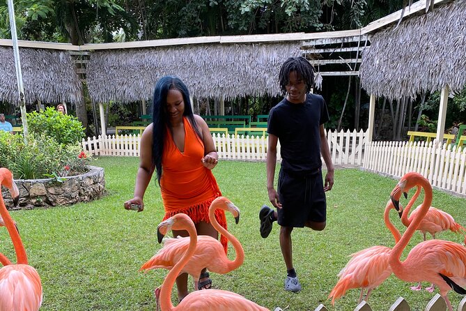 Flamingo March & Pirates Adventure Tour Nassau - Is $150 a fair price?