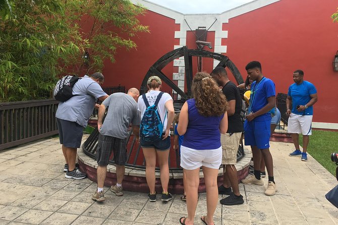 Flavors of Nassau Food Tour - Timing, walking, and cruise-port planning