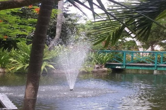 Freeport Shore Excursion: Garden of the Groves and City Tour - What this four-hour Freeport tour is really offering