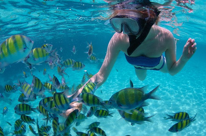 Freeport Snorkeling Peterson Cay National Park and Hotel Day Pass - Peterson Cay’s shallow snorkeling water