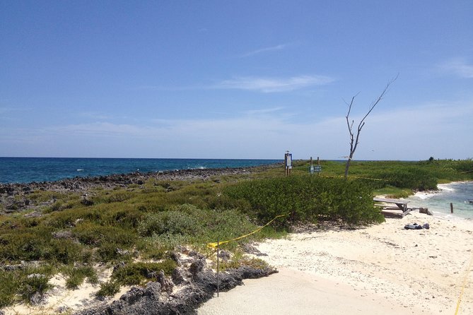 Freeport Snorkeling Peterson Cay National Park and Hotel Day Pass - What to expect after the snorkel
