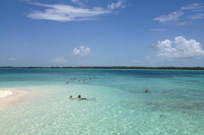 Freeport Snorkeling Peterson Cay National Park and Hotel Day Pass - The Viva Wyndham day pass and its value