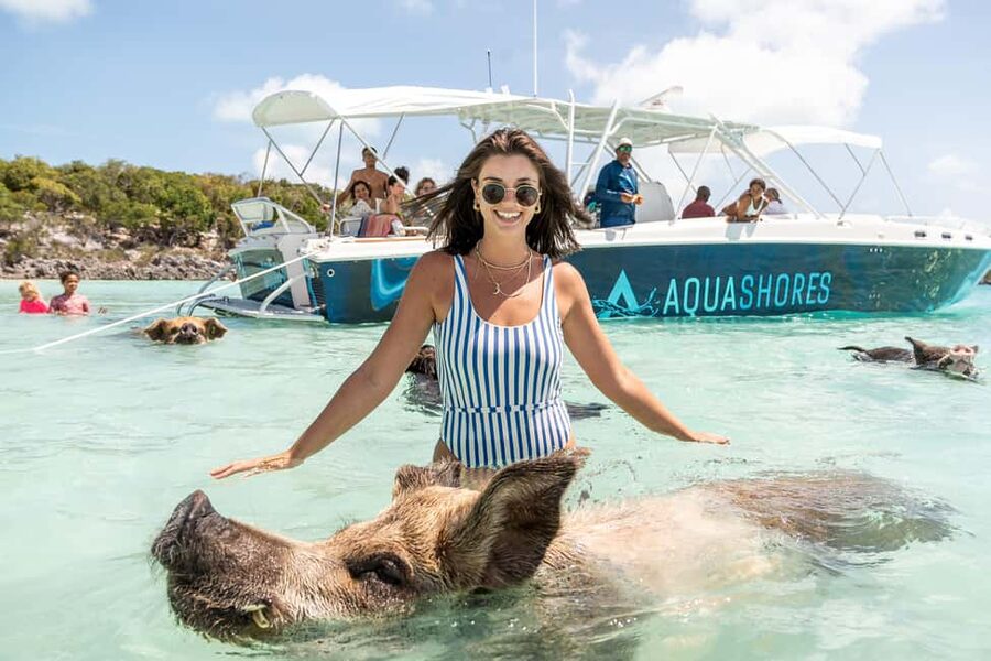 From Nassau: Exuma Powerboat Tour and Pig Beach with Lunch - Allen’s Cay and the rock iguanas