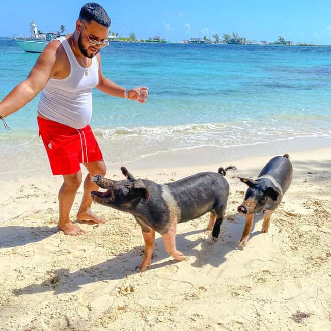 From Nassau: Swim with Pigs Safari - Pig Beach, where the main attraction gets its own half-hour