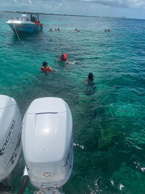 From Nassau: Swim with Pigs Safari - Pearl Island snorkeling, turtles, and tropical fish