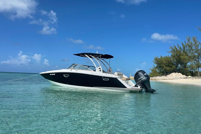 Full-Day Luxury Private Rose Island Pigs and Turtles Excursion - Who will get the most from this Rose Island trip