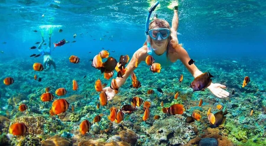 Full Day Sail and Snorkel with Turtles - Watching turtles without disturbing them