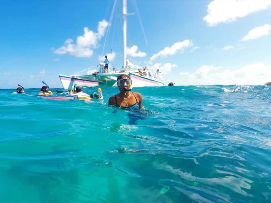 Full Day Sail and Snorkel with Turtles - A harbor cruise with a useful scenic start