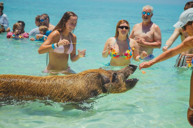 Guided All Inclusive Beach Day Excursion in Bahamas - A 30-minute boat ride from Nassau