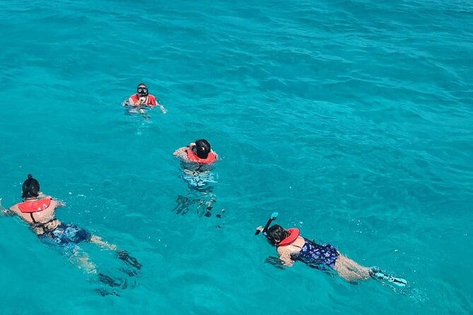 Guided All Inclusive Beach Day Excursion in Bahamas - Who will enjoy Rose Island most