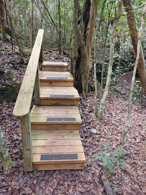 Guided Primeval Nature Walk Tour - Key points to know before booking