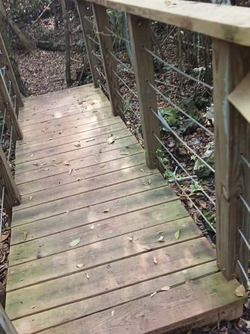 Guided Primeval Nature Walk Tour - Who should book this tour?