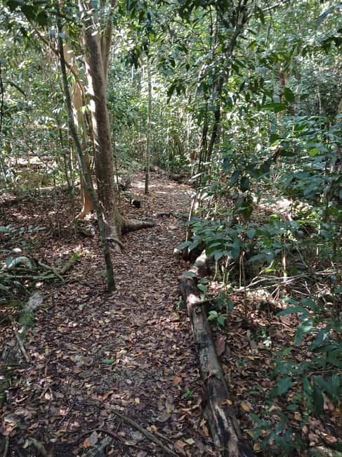 Guided Primeval Nature Walk Tour - A quiet half hour at Jaws Beach