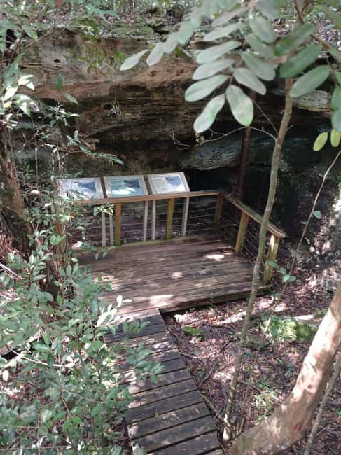 Guided Primeval Nature Walk Tour - What past bookings reveal about the guides