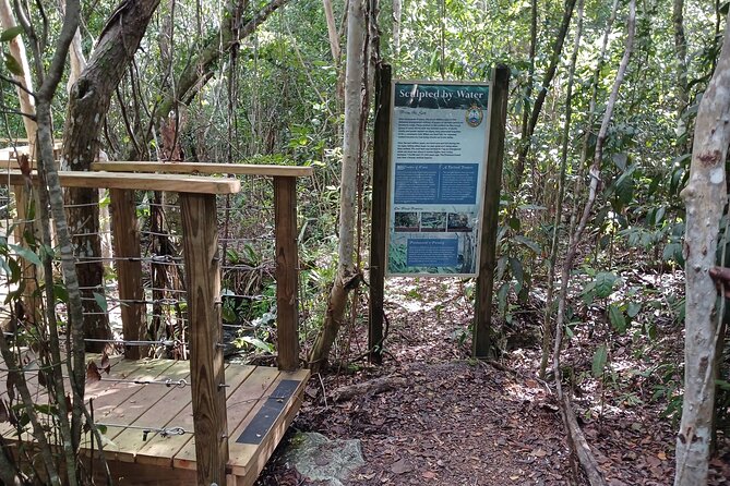 Guided Primeval Nature Walk Tour in Primeval Forest National Park - What this Nassau tour is really trying to do