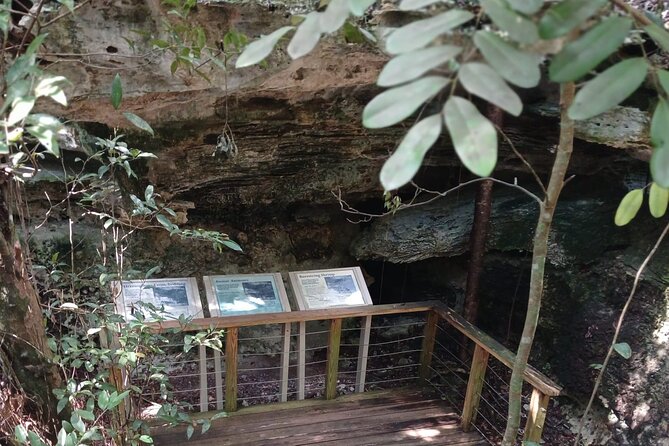 Guided Primeval Nature Walk Tour in Primeval Forest National Park - Thirty minutes at Jaws Beach
