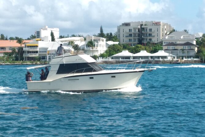 Half-Day at Green Cay Bahamas Snorkeling with Turtles - A private Nassau boat trip with more than turtles
