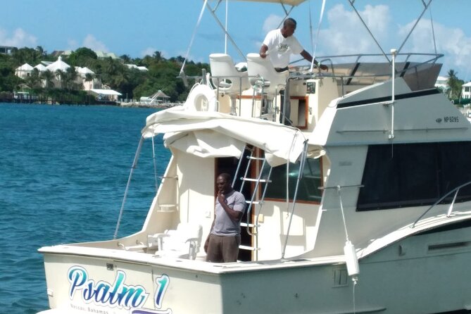 Half-Day at Green Cay Bahamas Snorkeling with Turtles - Price, group size, and what you are really paying for