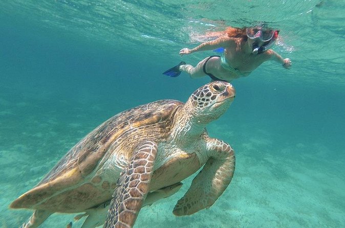 Half-Day at Green Cay Bahamas Snorkeling with Turtles - Who should book this Nassau excursion?