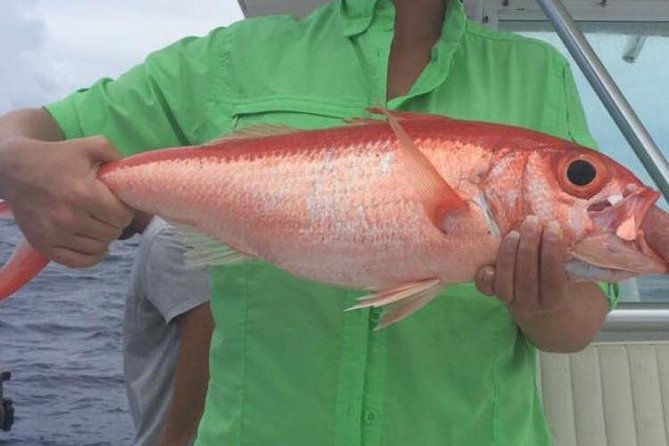 Half day Deep sea/light tackle fishing charters - What the $920 private charter actually buys