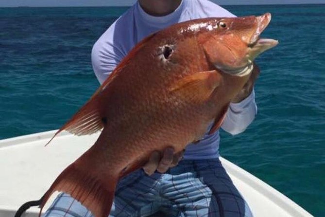 Half day Deep sea/light tackle fishing charters - Crew support matters more than the rod