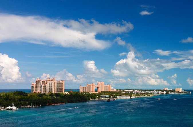 Half-Day Guided Boat Tour of Nassau Harbour and Rose Island - Green turtles and the swimming pigs