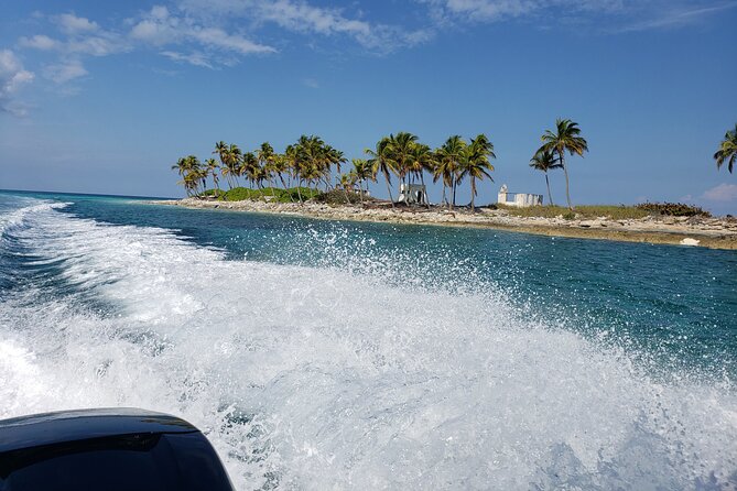 Half-Day Guided Boat Tour of Nassau Harbour and Rose Island - Timing, meeting point, and physical demands