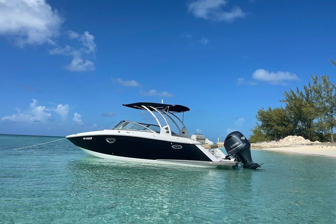 Half-Day Luxury Private Rose Island Pigs and Turtles Excursion - Snorkeling near Rainbow Reef