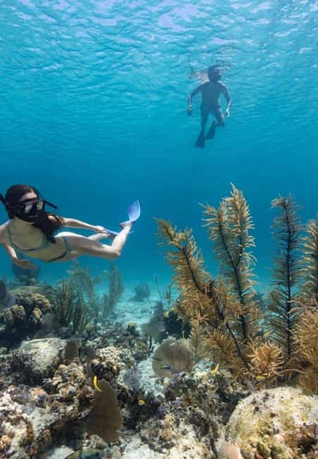Half day Sail and Snorkeling - Snorkeling near Rose Island