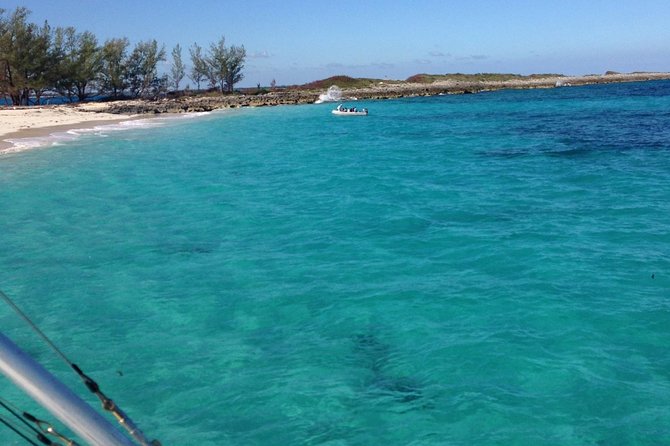 Half Day Snorkeling Tour in the Bahamas - Key points to know before you book