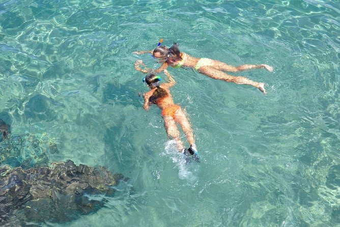 Half Day Snorkeling Tour in the Bahamas - What the $800 price really buys you