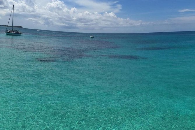 Half Day Snorkeling Tour in the Bahamas - Who will enjoy this tour most