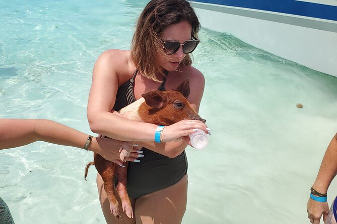 HALF DAY Swiming Pigs and Sharks Tour (Nassau to Exuma by Plane) - Why this Nassau to Exuma trip is worth considering