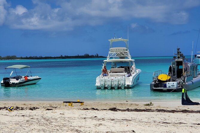 HALF DAY Swiming Pigs and Sharks Tour (Nassau to Exuma by Plane) - Snorkeling at Thunderball Grotto