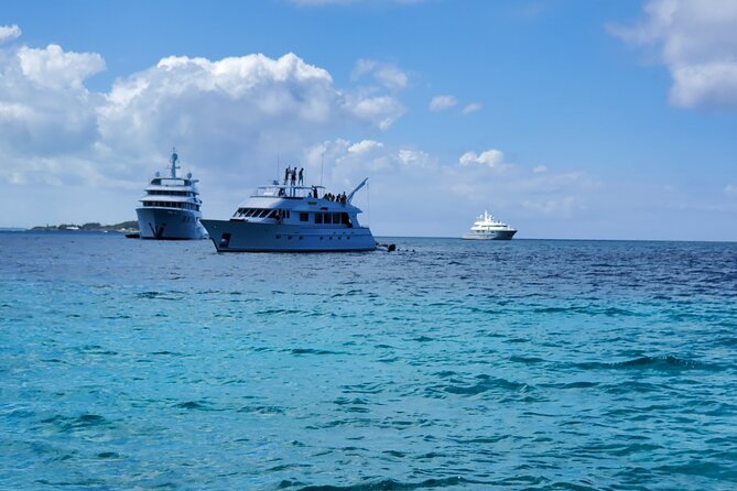 HALF DAY Swiming Pigs and Sharks Tour (Nassau to Exuma by Plane) - Lunch in Black Point, with local choices