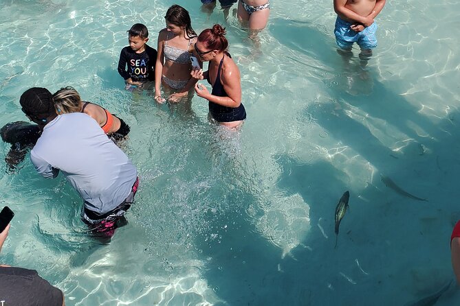 HALF DAY Swiming Pigs and Sharks Tour (Nassau to Exuma by Plane) - The early flight from Nassau to Staniel Cay